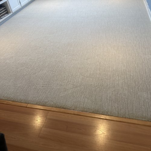 carpet inspiration gallery 27