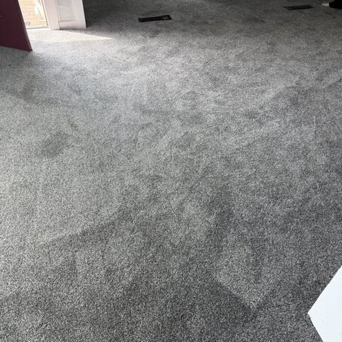 carpet inspiration gallery 26
