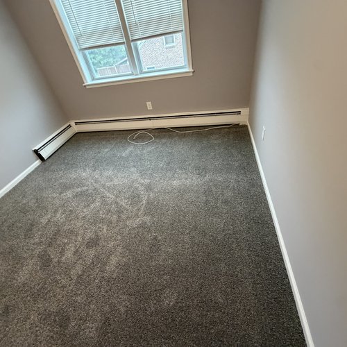 carpet inspiration gallery 24