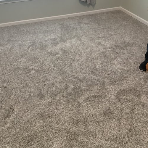 carpet inspiration gallery 21