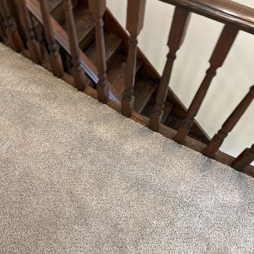carpet inspiration gallery 19