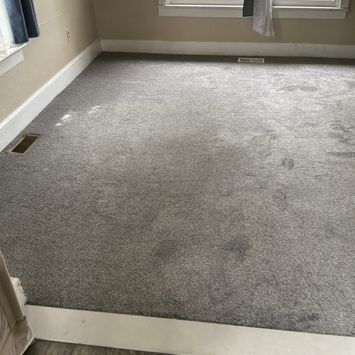carpet inspiration gallery 15