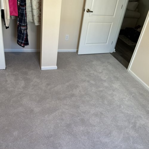 carpet inspiration gallery 14