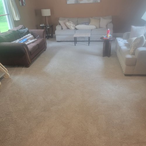 carpet inspiration gallery 11