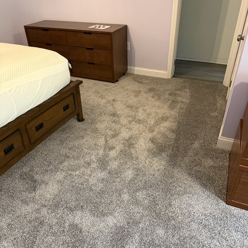carpet inspiration gallery 9